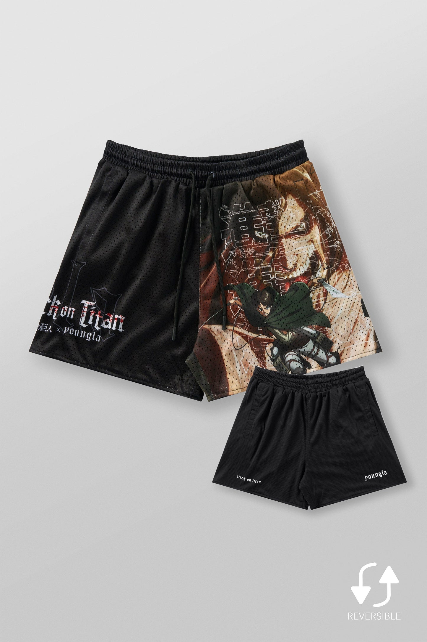 1126 - AOT? x YLA Mesh Shorts
